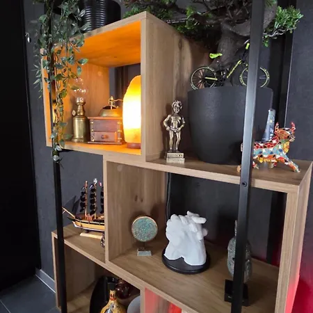 Superbe Dans Un Quartier Neuf Et Calme * Strasburg